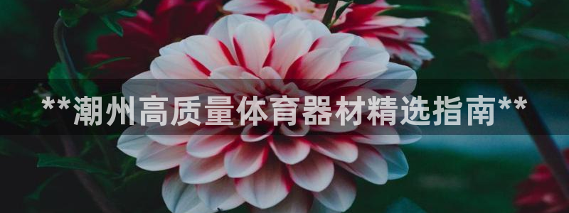 富联娱乐会员多少钱：**潮州高质量体育器材精选指南*