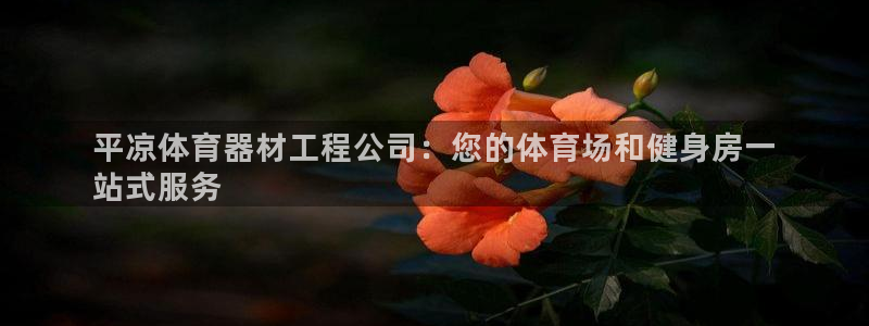 富联平台是什么：平凉体育器材工程公司：您的体育场和健