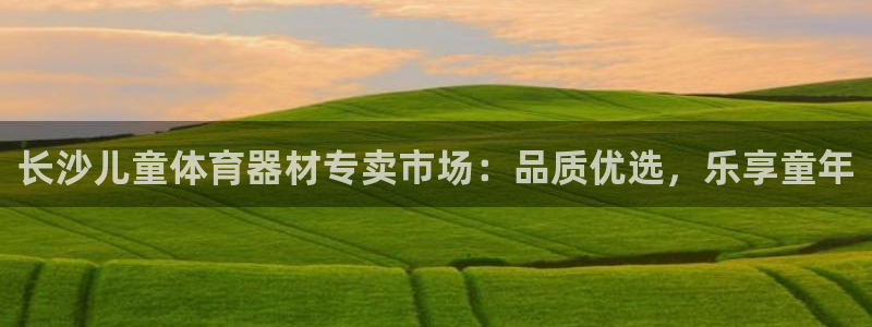 富联官网注册流程图：长沙儿童体育器材专卖市场：品质优
