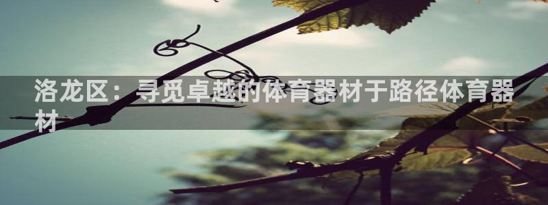 富联娱乐凡六七五一38：洛龙区：寻觅卓越的体育器材于