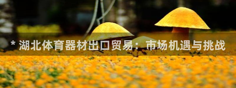富联平台万 3.7.OO.7.3.5：* 湖北体育器