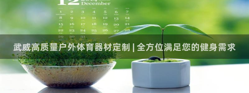 富联平台招商电话：武威高质量户外体育器材定制 | 全