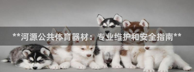 富联娱乐在线注册链接怎么弄：**河源公共体育器材：专