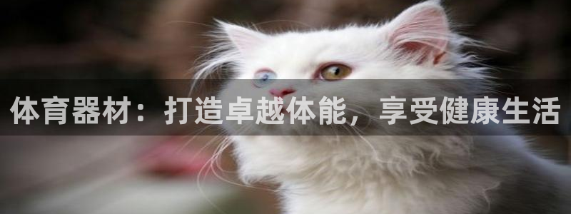 富联股份股票：体育器材：打造卓越体能，享受健康生活