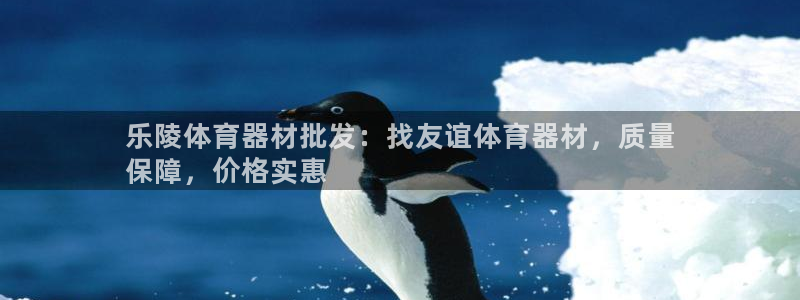 富联娱乐是什么时候开的店：乐陵体育器材批发：找友谊体