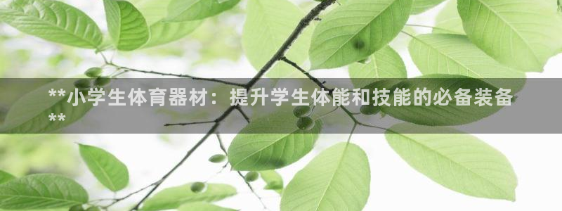 中国富联股票行情：**小学生体育器材：提升学生体能和