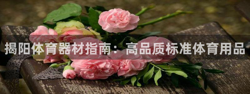 富联娱乐登录地址：揭阳体育器材指南：高品质标准体育用