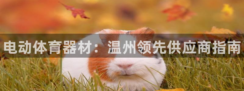 富联平台意 411o31 平台：电动体育器材：温州领