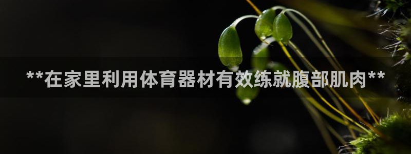 富联娱乐总代理是谁：**在家里利用体育器材有效练就腹