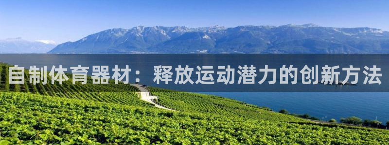 富联官方网站下载安装最新版：自制体育器材：释放运动潜