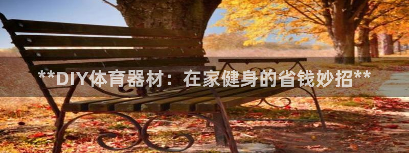 富联平台官网登录入口下载：**DIY体育器材：在家健