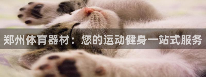 富联娱乐登录地址查询：郑州体育器材：您的运动健身一站