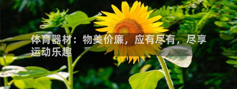 富联是什么：体育器材：物美价廉，应有尽有，尽享
运动