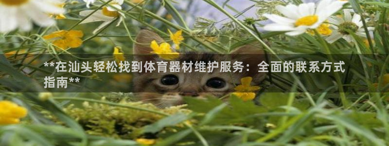 富联平台木 5o69I7：**在汕头轻松找到体育器材