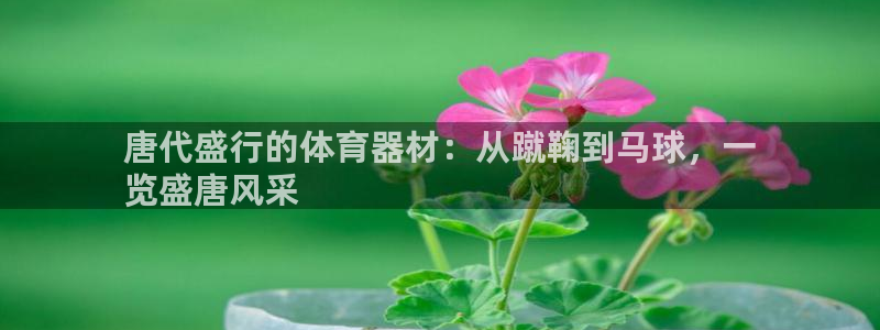 富联娱乐卜6.7.5.1.3.8：唐代盛行的体育器材