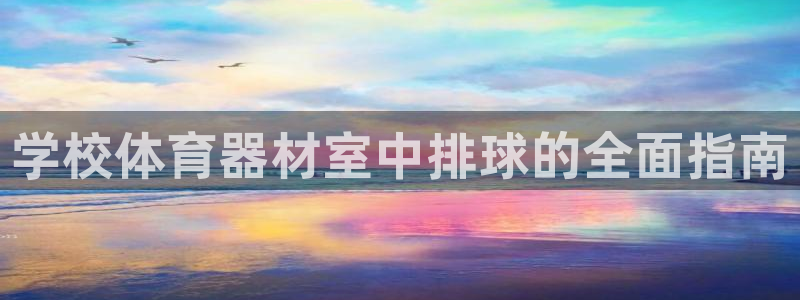 富联娱乐测速：学校体育器材室中排球的全面指南
