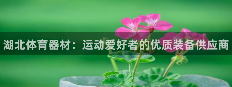 富联娱乐测速地址：湖北体育器材：运动爱好者的优质装备