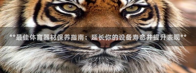 富联申购中签时间：**最佳体育器材保养指南：延长你的