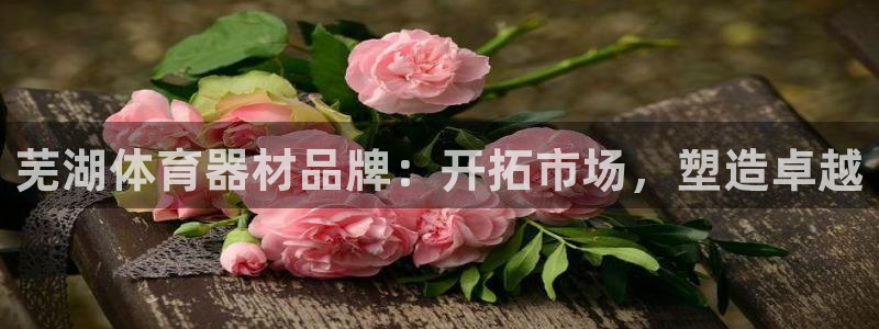 富联平台代理注册条件：芜湖体育器材品牌：开拓市场，塑