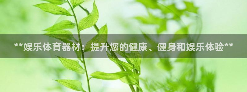 富联平台开户流程：**娱乐体育器材：提升您的健康、健