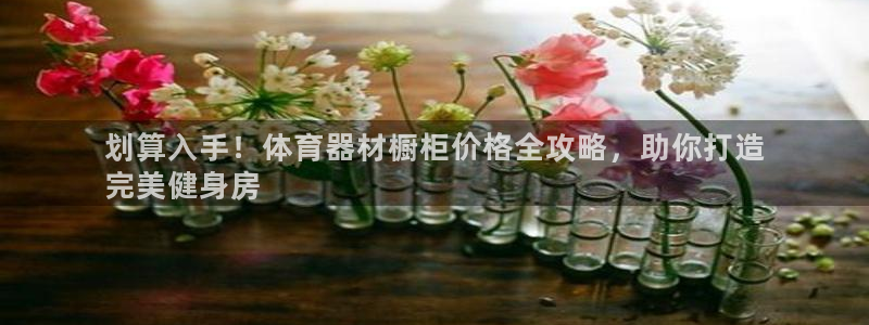 富联官方网站首页：划算入手！体育器材橱柜价格全攻略，