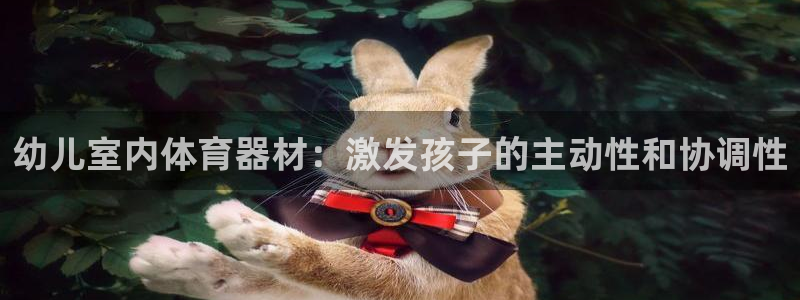 富联平台登录网址查询：幼儿室内体育器材：激发孩子的主