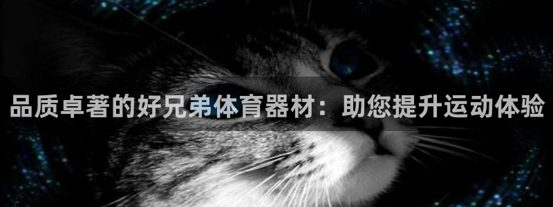 富联官方网站下载：品质卓著的好兄弟体育器材：助您提升