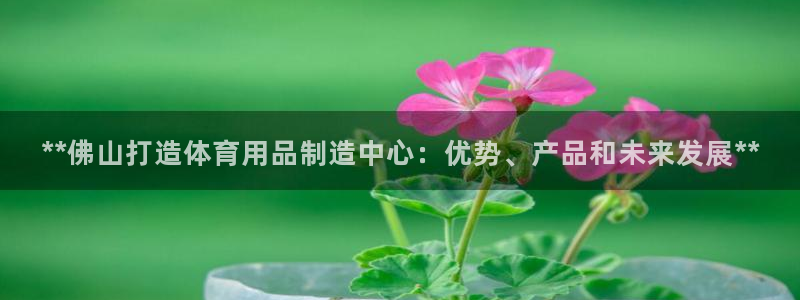 富联平台登录注册账号：**佛山打造体育用品制造中心：