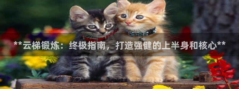 富联平台注册地址：**云梯锻炼：终极指南，打造强健的