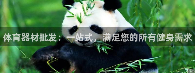 富联娱乐律7O777：体育器材批发：一站式，满足您的