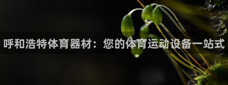 富联官网注册流程：呼和浩特体育器材：您的体育运动设备