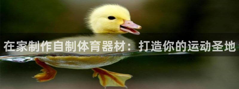 富联平台升 5O6917 平台：在家制作自制体育器材