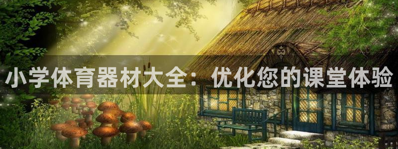 富联娱乐测速登录不了：小学体育器材大全：优化您的课堂
