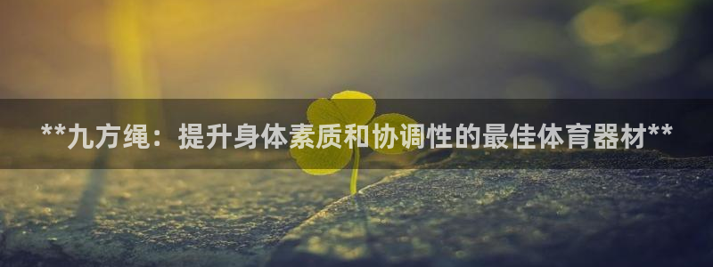 富联平台网站是什么：**九方绳：提升身体素质和协调性