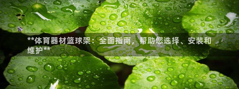 富联平台用户登陆：**体育器材篮球架：全面指南，帮助