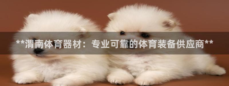 富联平台代理注册要钱吗：**渭南体育器材：专业可靠的