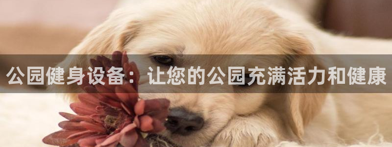 富联娱乐心 585341 娱乐：公园健身设备：让您的
