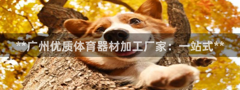 富联娱乐在线注册链接怎么弄出来：**广州优质体育器材