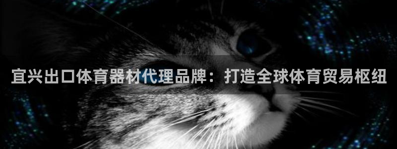 富联官网注册不了账号吗：宜兴出口体育器材代理品牌：打