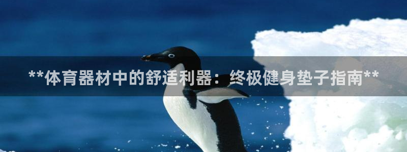 富联文体：**体育器材中的舒适利器：终极健身垫子指南