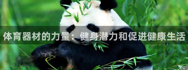 富联申购什么时间上市：体育器材的力量：健身潜力和促进