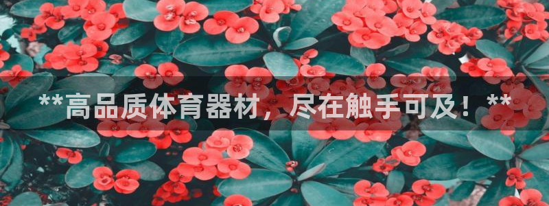 富联娱乐代理怎么做：**高品质体育器材，尽在触手可及
