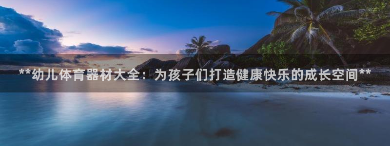 富联官方网站首页入口下载：**幼儿体育器材大全：为孩
