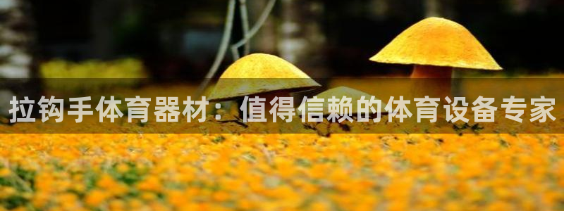富联娱乐官方网站：拉钩手体育器材：值得信赖的体育设备