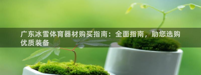 富联官网注册流程视频：广东冰雪体育器材购买指南：全面