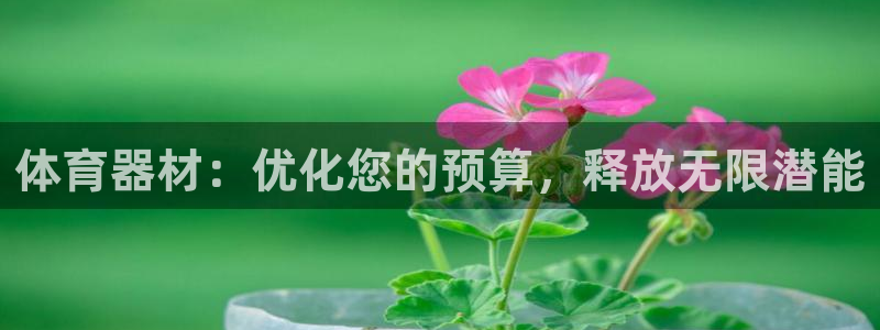 富联娱乐心 5o69I7：体育器材：优化您的预算，释