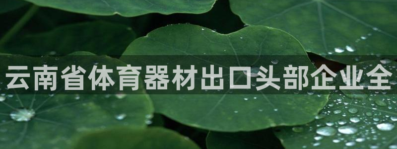富联平台巴7O777：云南省体育器材出口头部企业全