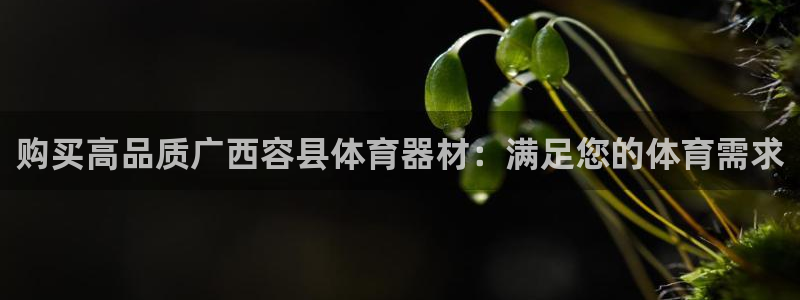 富联娱乐官方网站入口网址：购买高品质广西容县体育器材