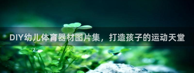富联娱乐测速地址在哪：DIY幼儿体育器材图片集，打造