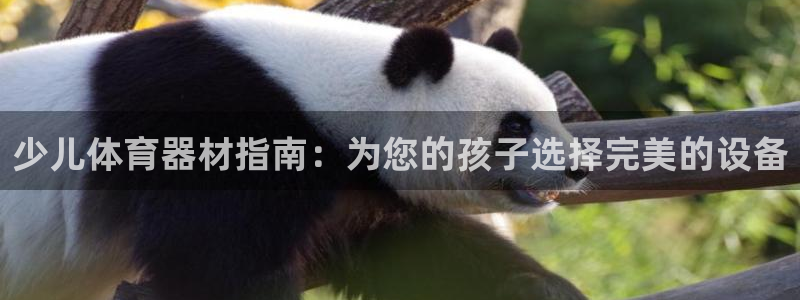 富联建工：少儿体育器材指南：为您的孩子选择完美的设备